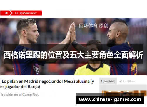 西格诺里踢的位置及五大主要角色全面解析