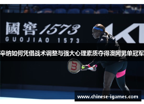 辛纳如何凭借战术调整与强大心理素质夺得澳网男单冠军 辛纳如何凭借战术调整与强大心理素质夺得澳网男单冠军